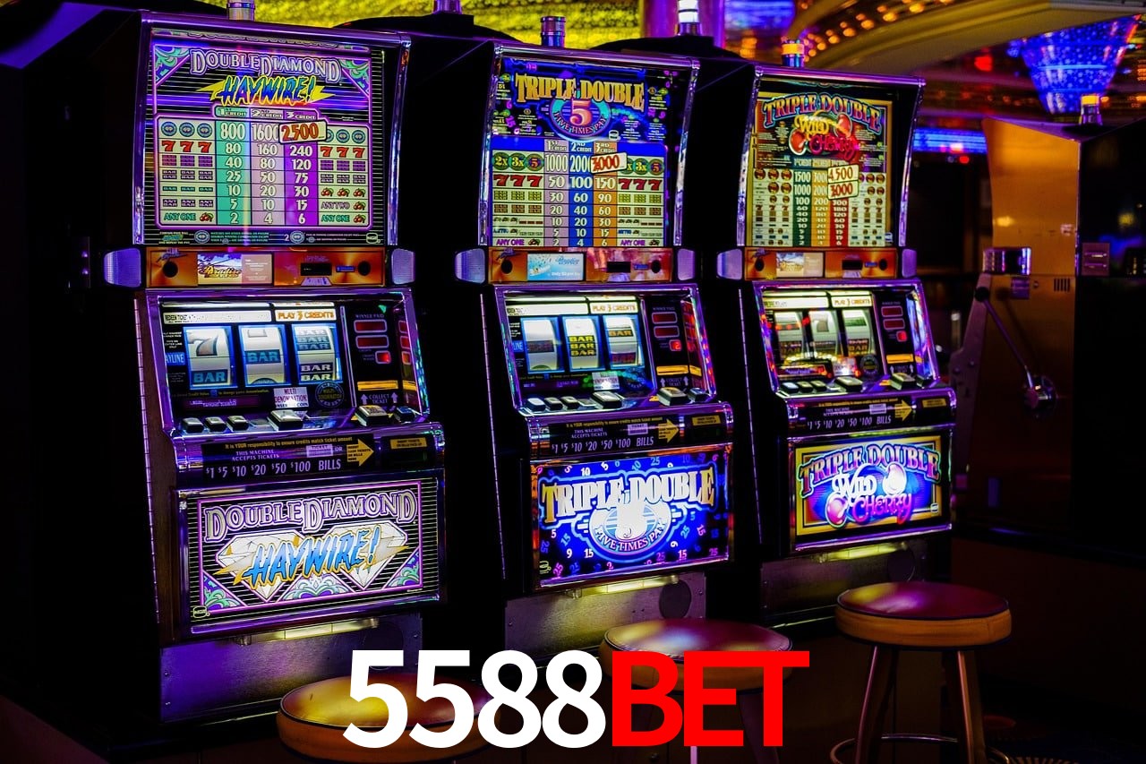 Experiência VIP 5588BET