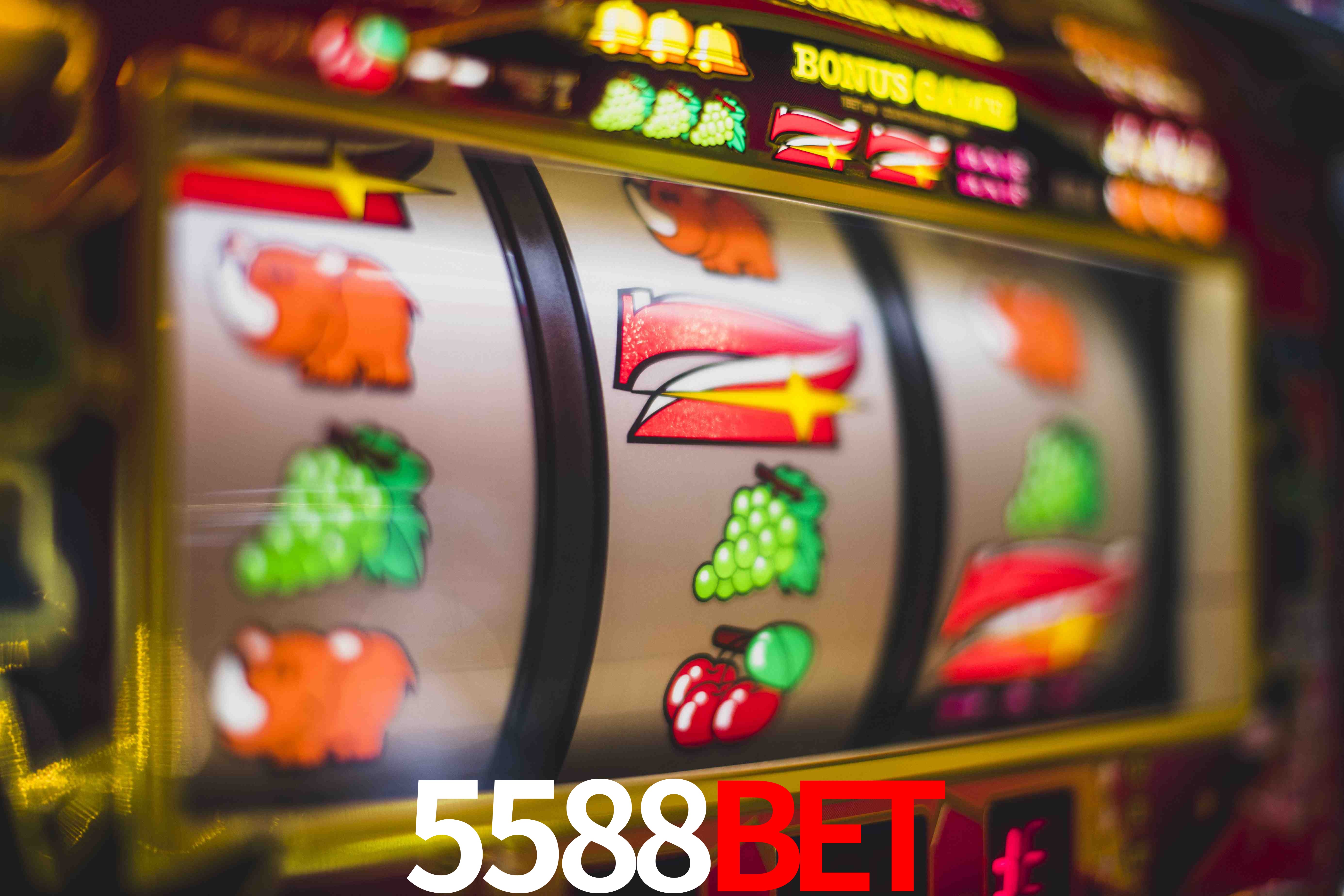 Secure Login 5588BET